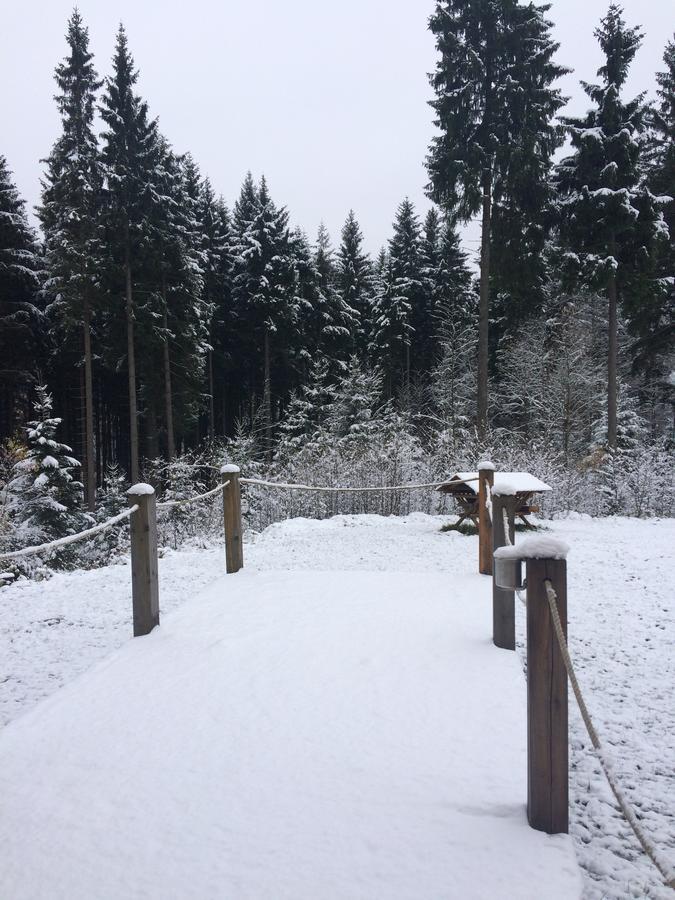 Ht Chalets Harrachov Exterior foto