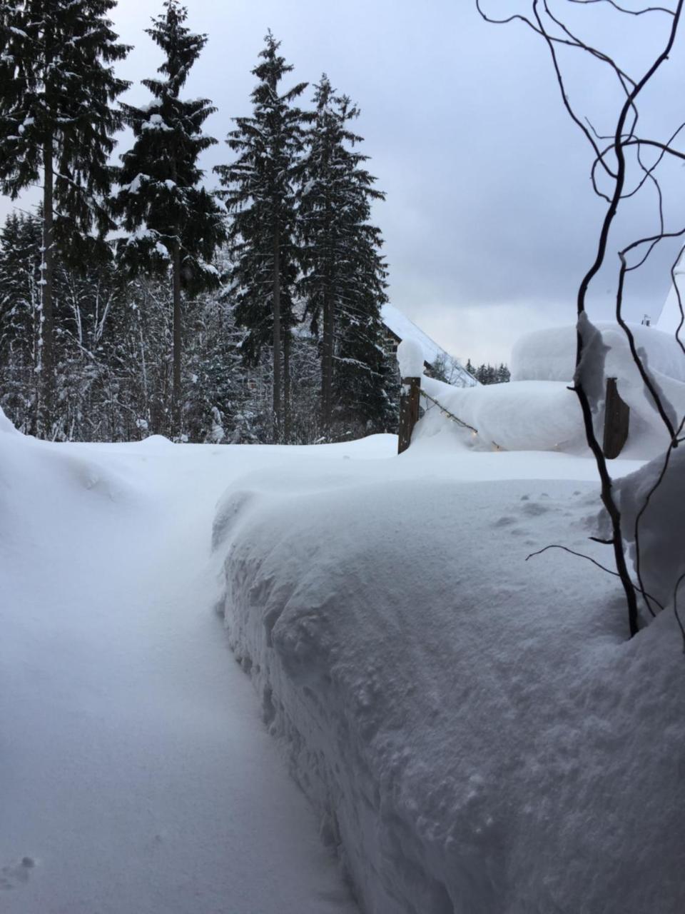 Ht Chalets Harrachov Exterior foto